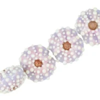 Purple Sea Urchin Lentil Bead (4 Pcs) -fiber optics 4 sale 0a156ccfe998e0cf0c09d5bc6d0bf97c201af1e9 73732.1708592455